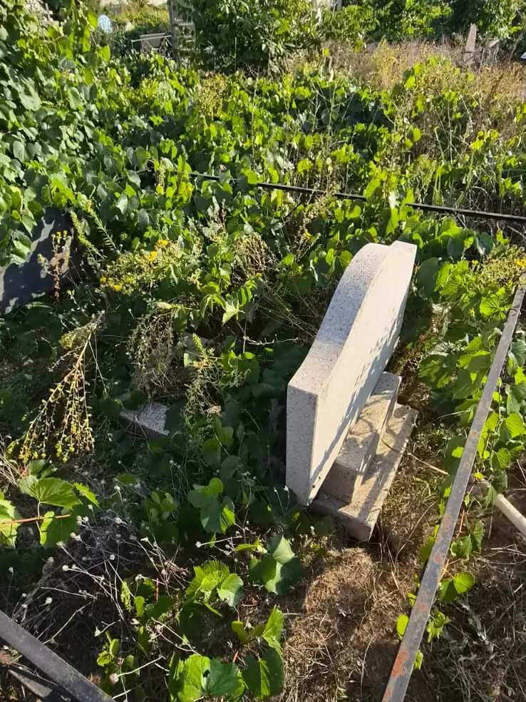 Захоронення до робіт: густі зарості навколо огорожі та пам'ятника