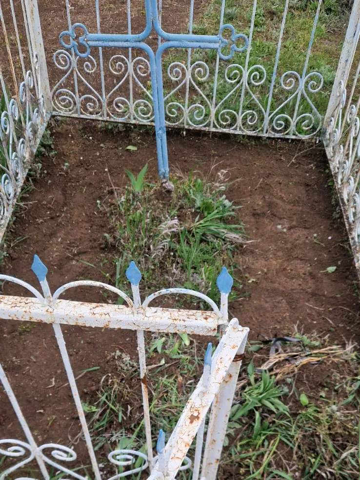Захоронення до робіт: бур'ян усередині огорожі, секція огорожі впала